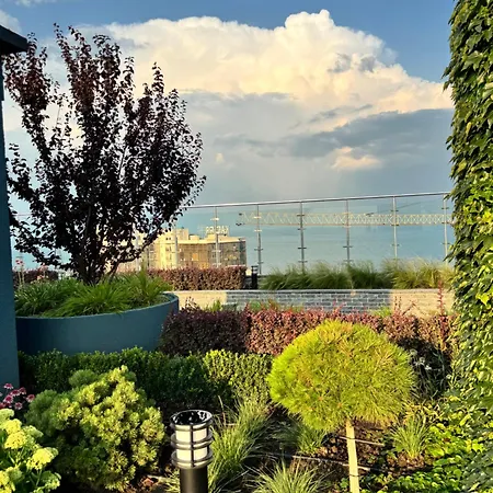 аркадия евродвушка в жк атмосфера *