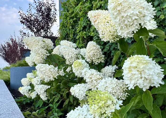 аркадия евродвушка в жк атмосфера Lägenhet Odessa